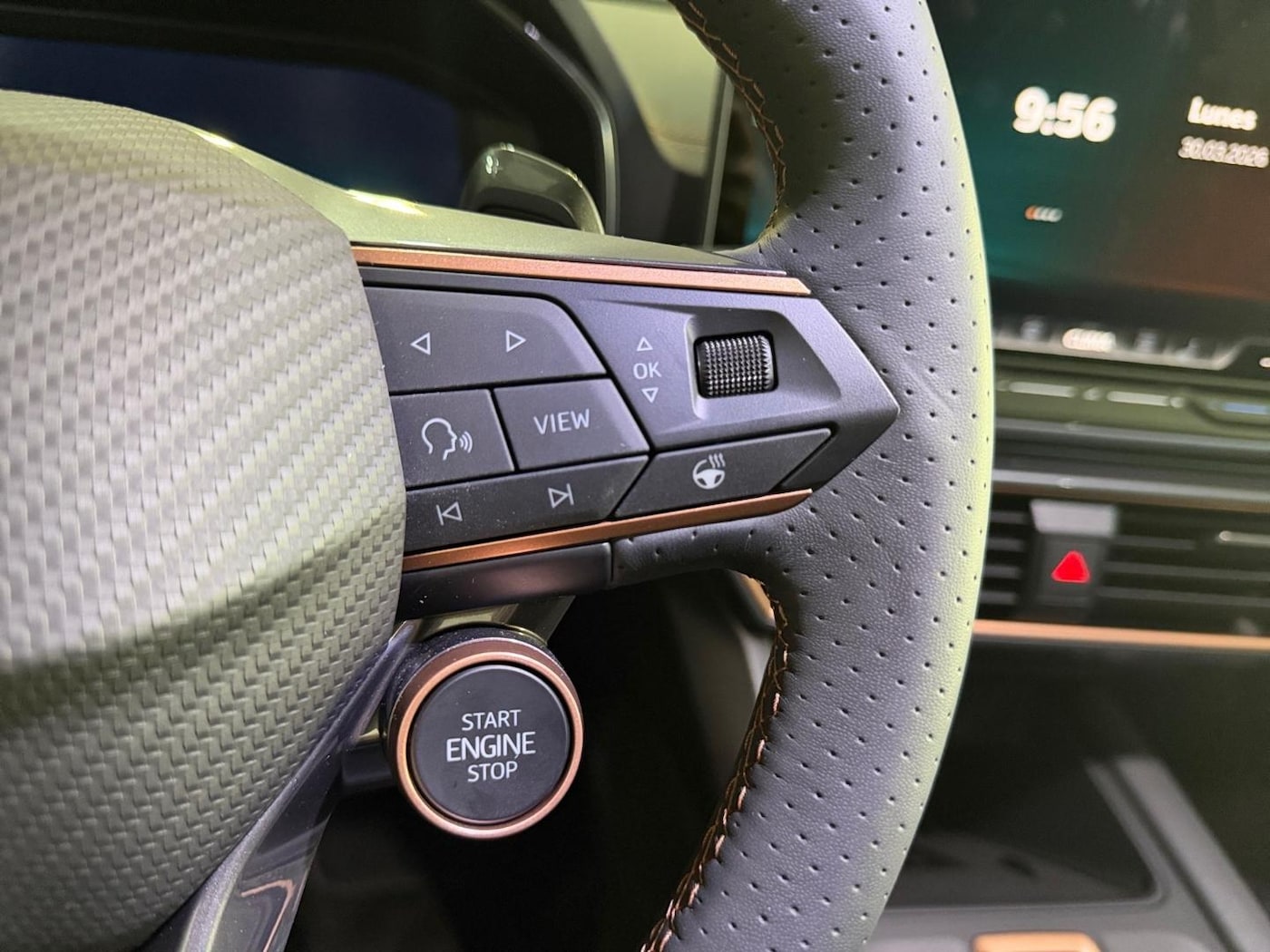 CUPRA Formentor 2.0 TSI VZ 4Drive DSG 245 kW (333 CV) — photo 9