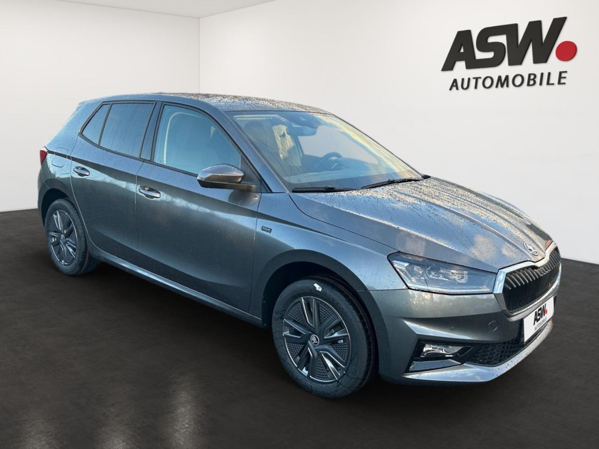 Skoda Fabia Tour