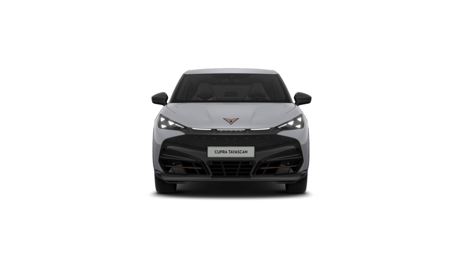 CUPRA Tavascan Endurance