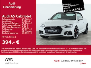 erstes Vorschaubild