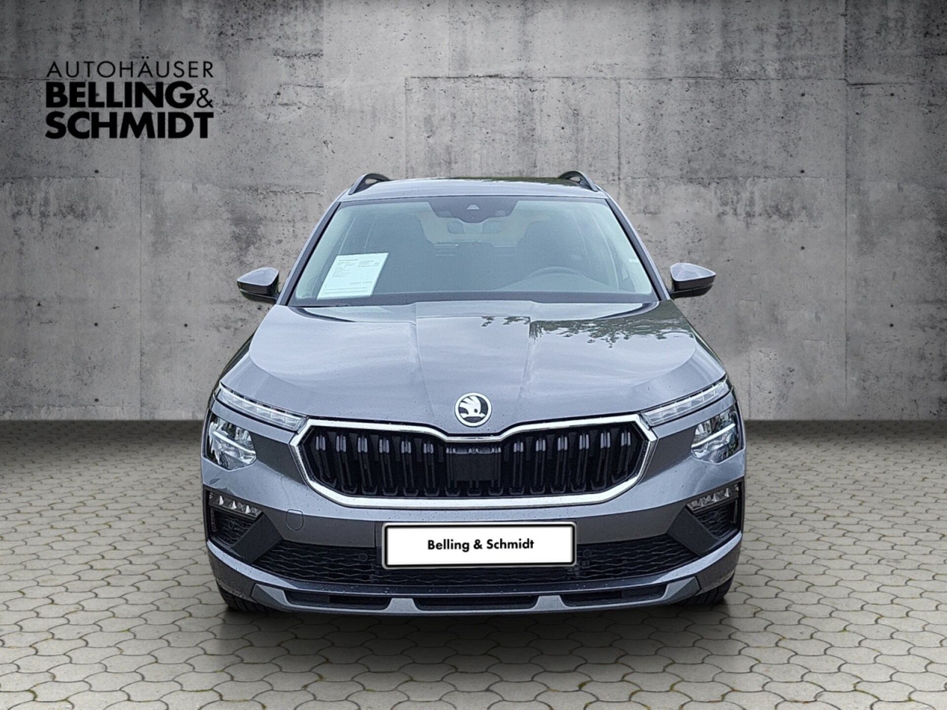 Skoda Kamiq Selection