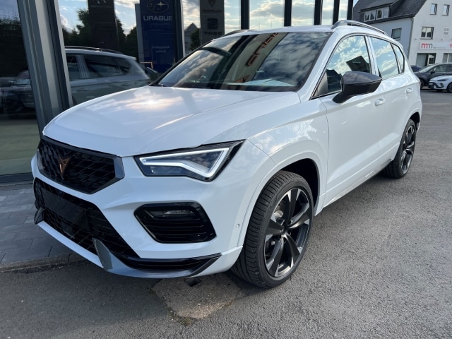 Bild des Autos 21