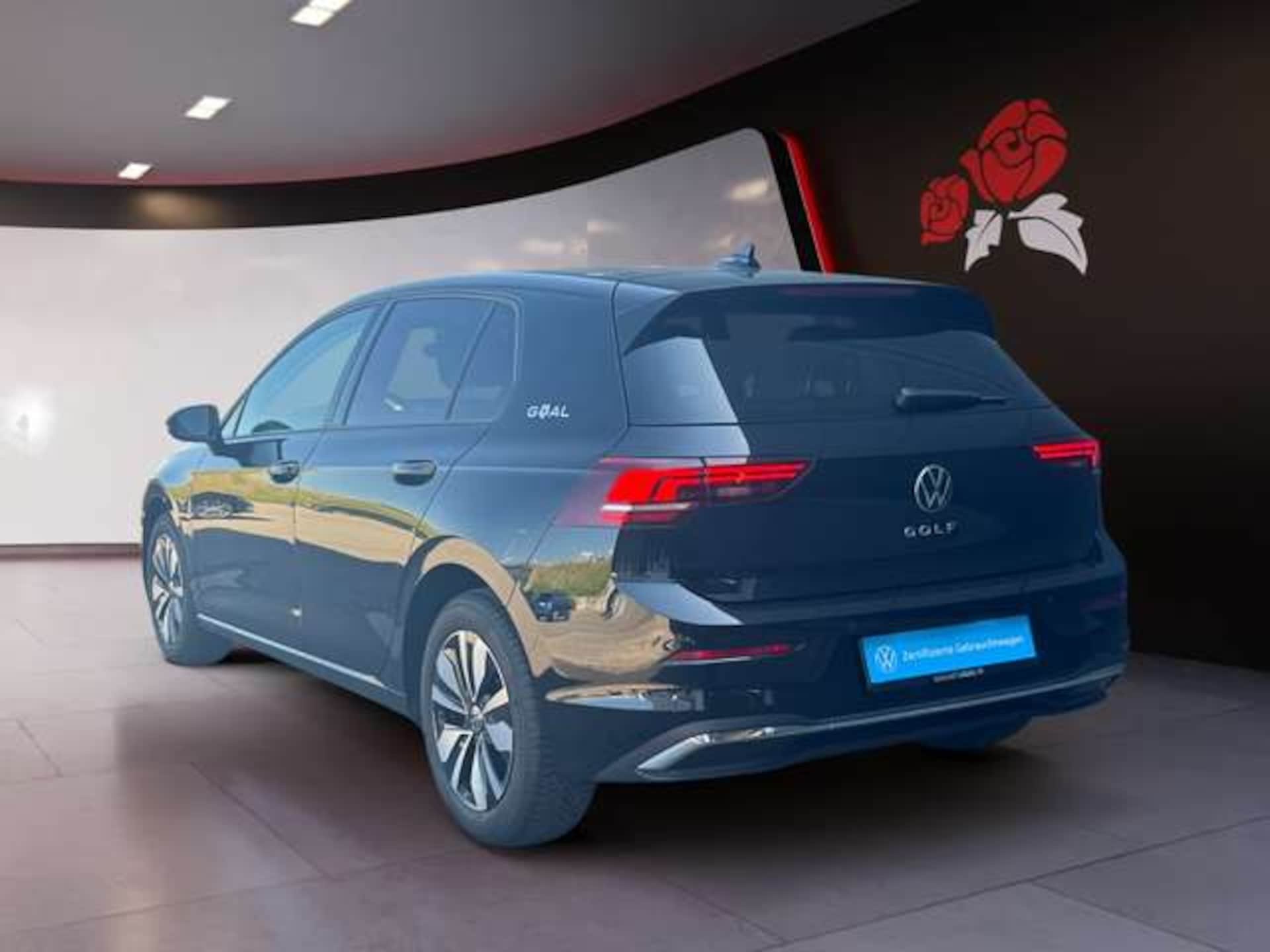 Volkswagen Golf Goal