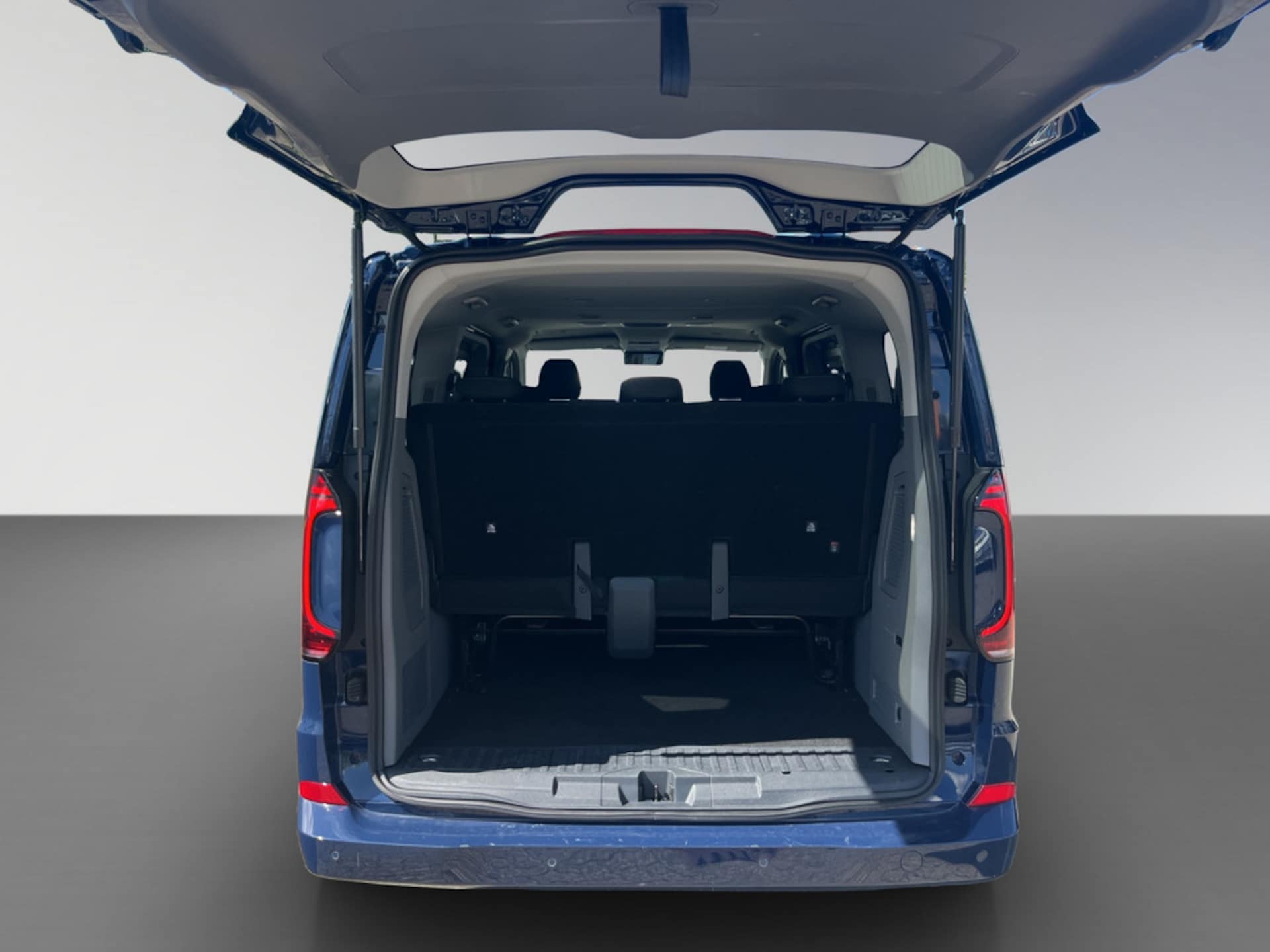 Volkswagen Caravelle Style