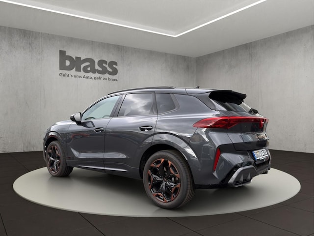 Bild des Autos 3