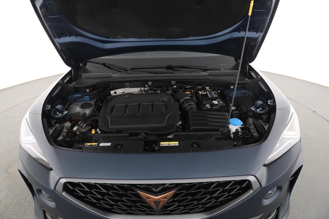 Bild des Autos 12