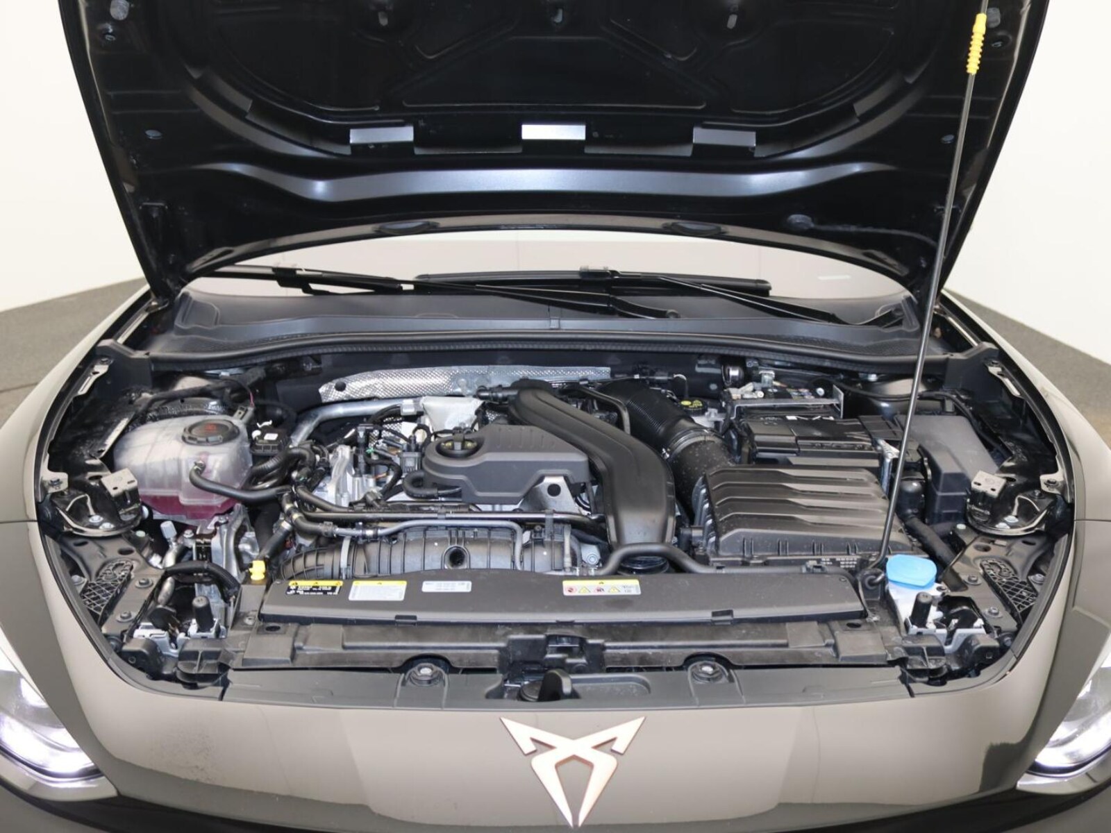 CUPRA Leon – Bild 17