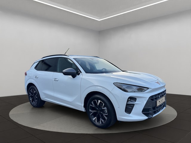 Bild des Autos 6