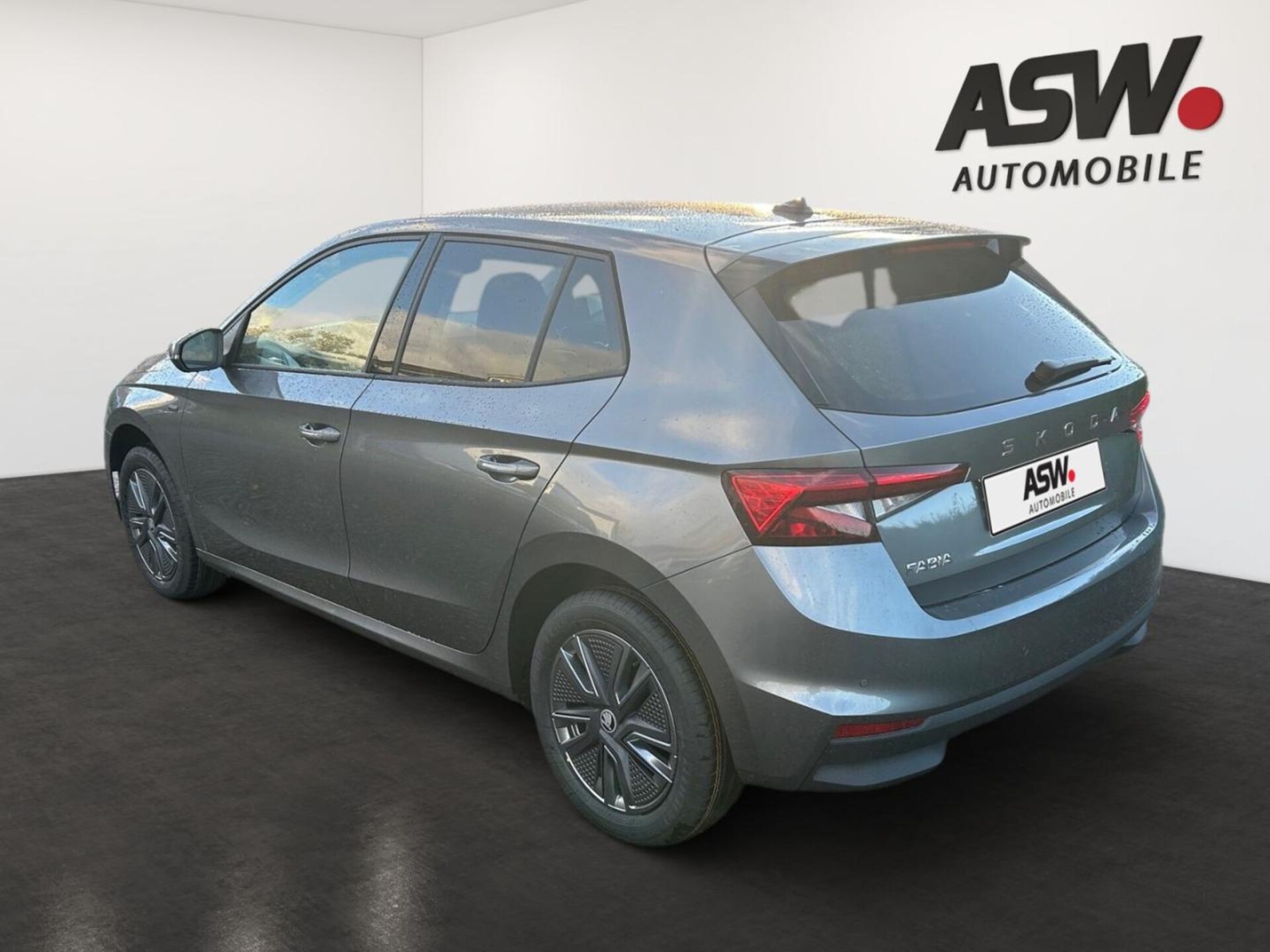 Skoda Fabia Tour