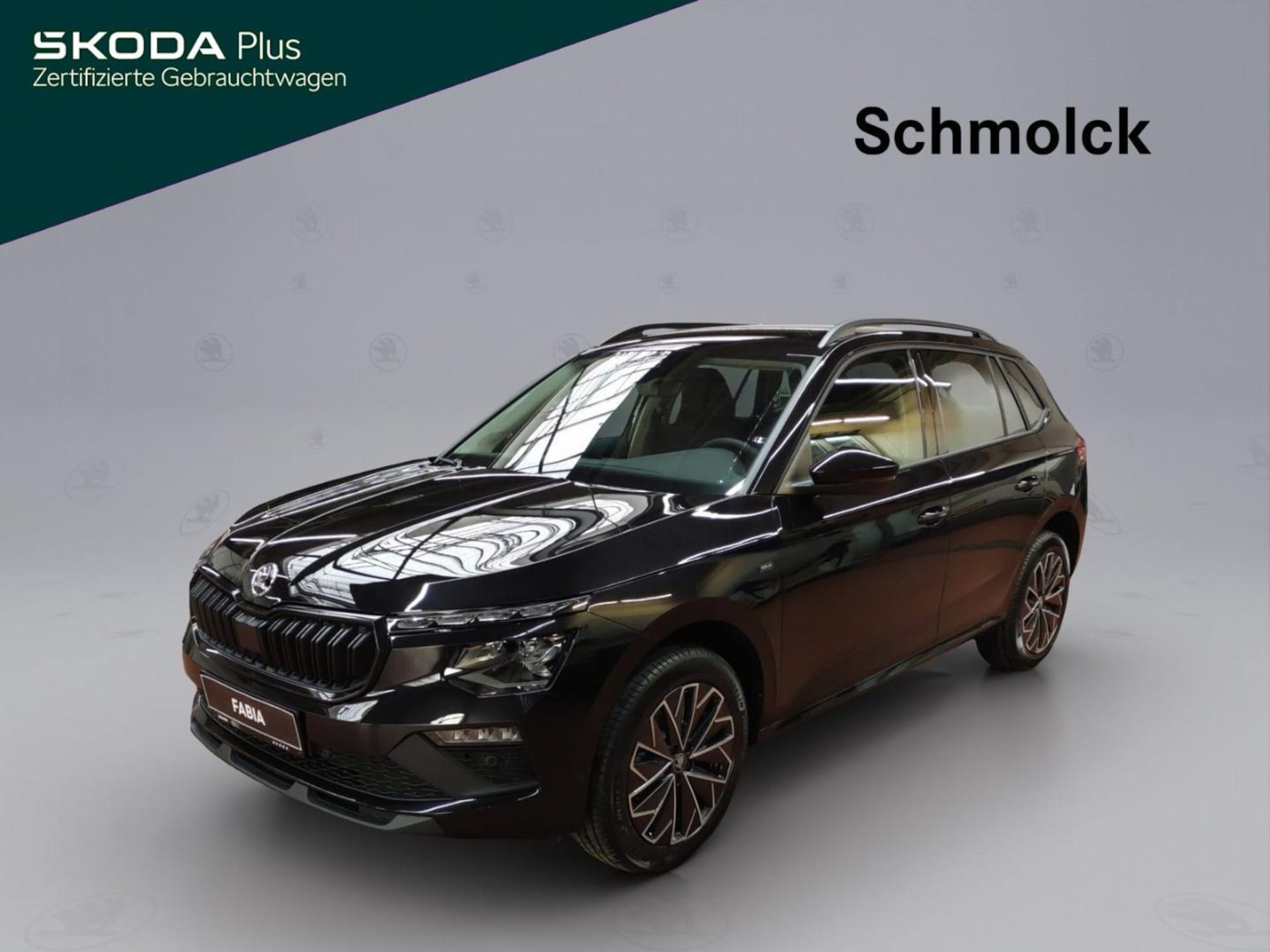 Skoda Kamiq 2025 — Drive 1.0 TSI DSG 116PS LED NAVI RFK KESSY
