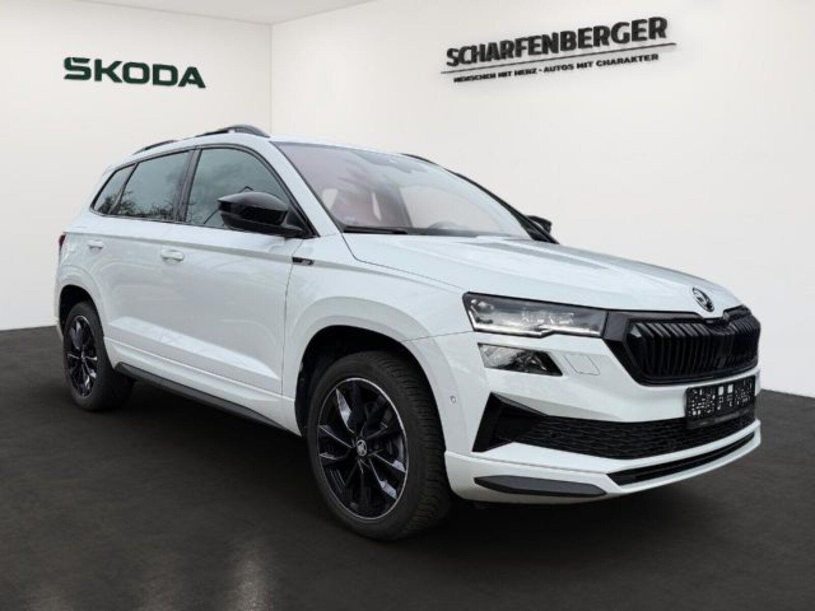 Škoda Karoq – Bild 2