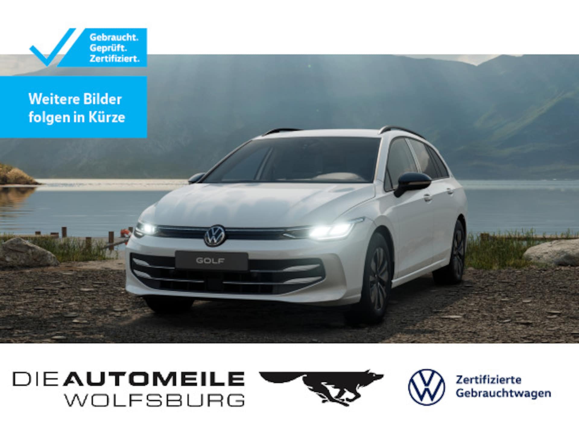 Volkswagen Golf Variant Goal