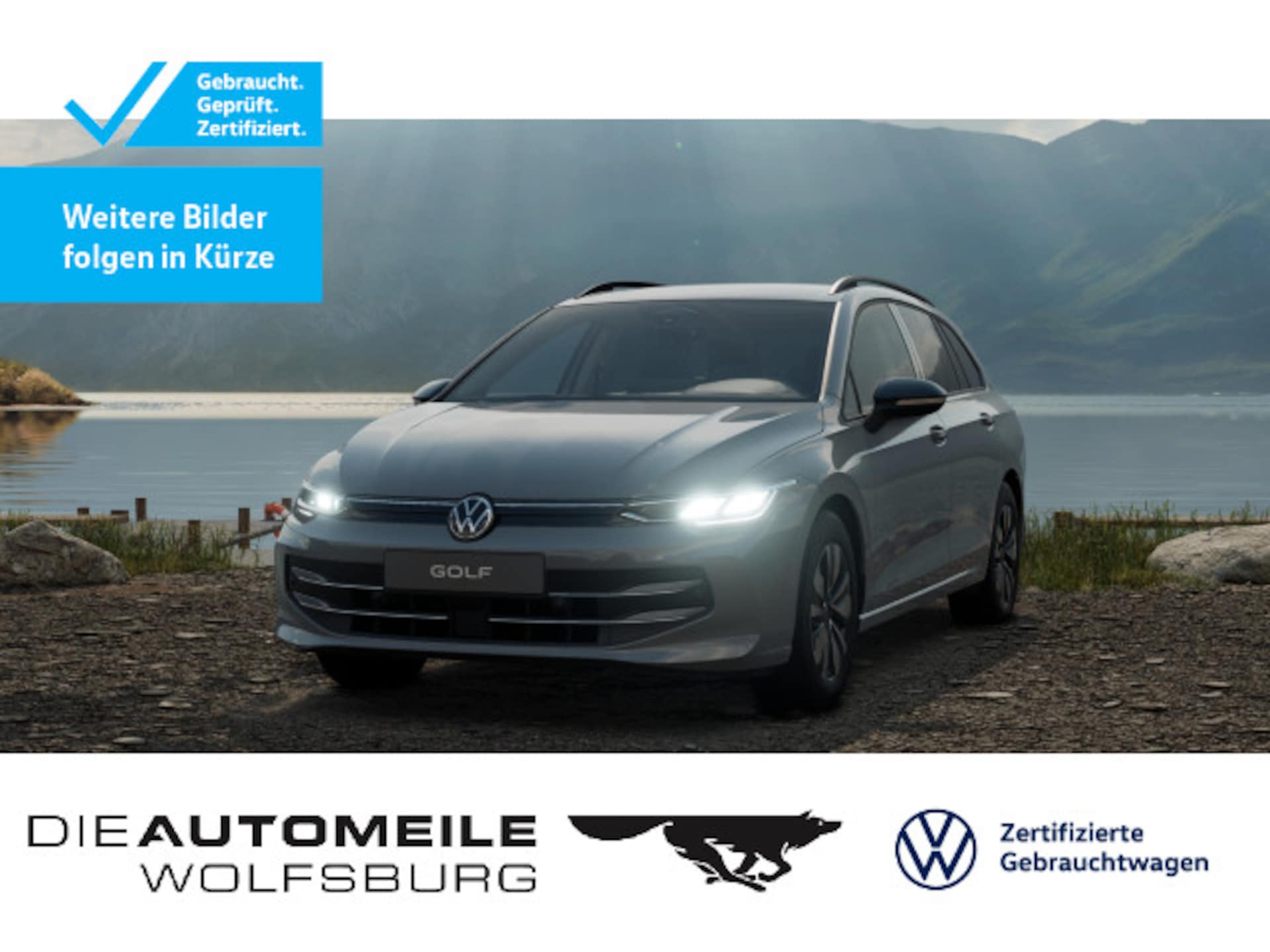 Volkswagen Golf Variant Goal