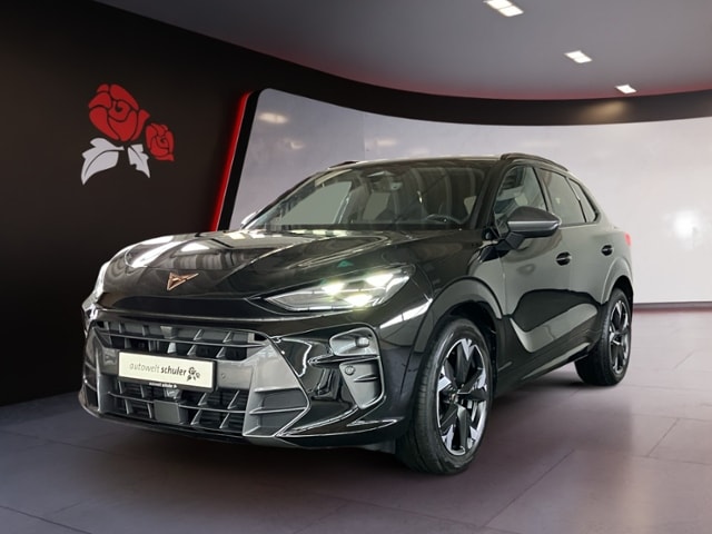 Bild des Autos 2