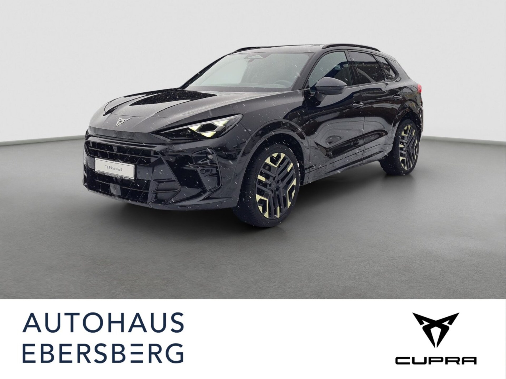 CUPRA Terramar VZ