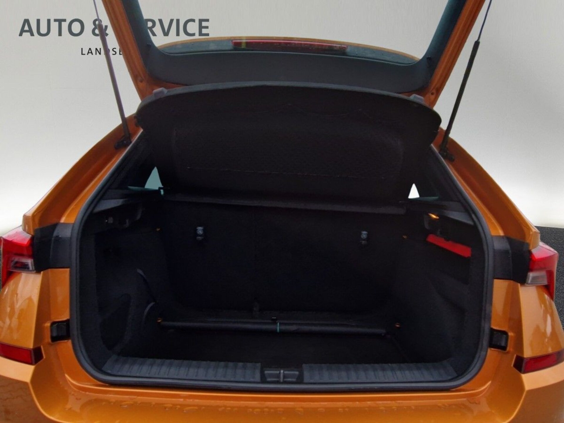 Skoda Kamiq Monte Carlo