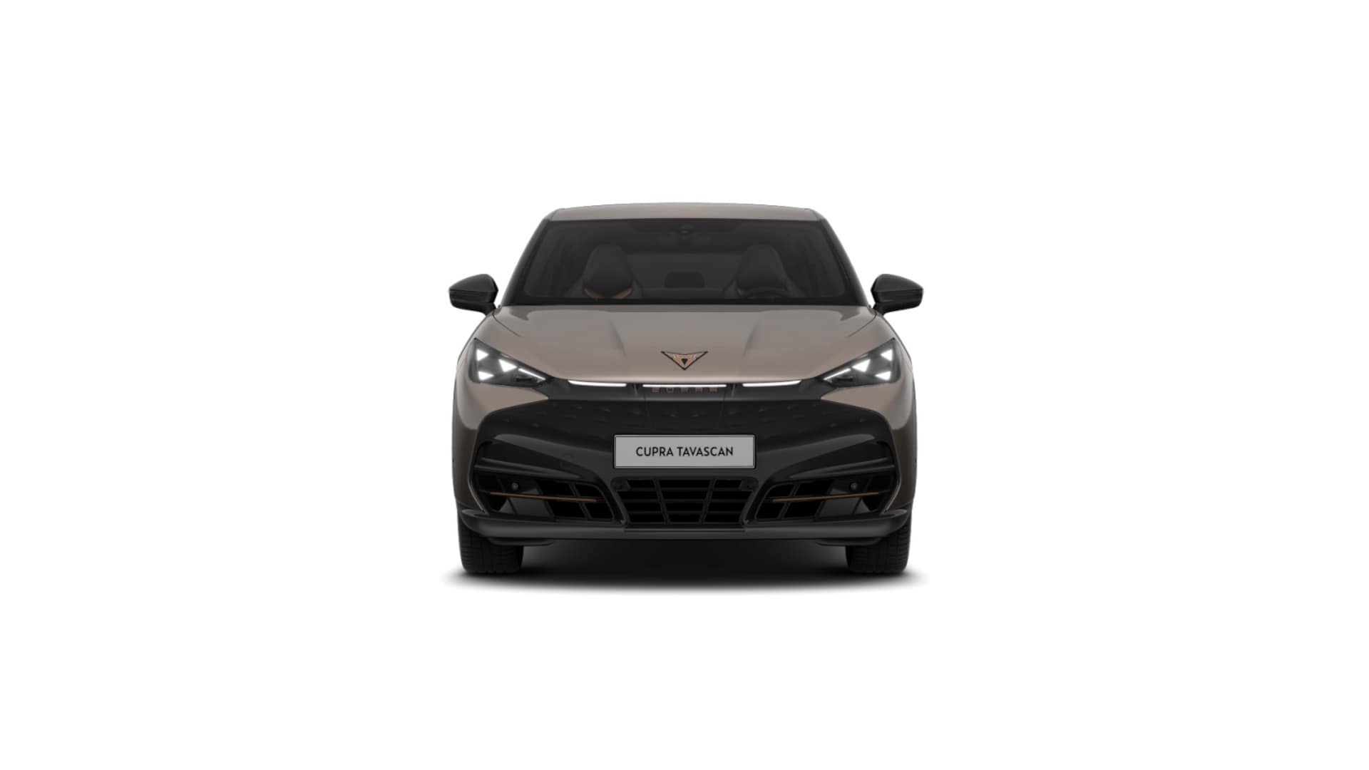 CUPRA Tavascan Endurance