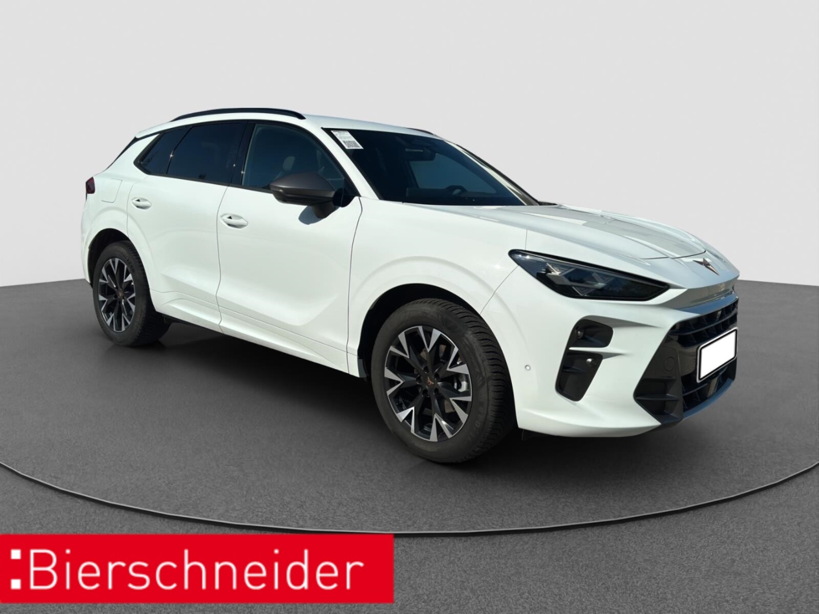CUPRA Terramar – Bild 9