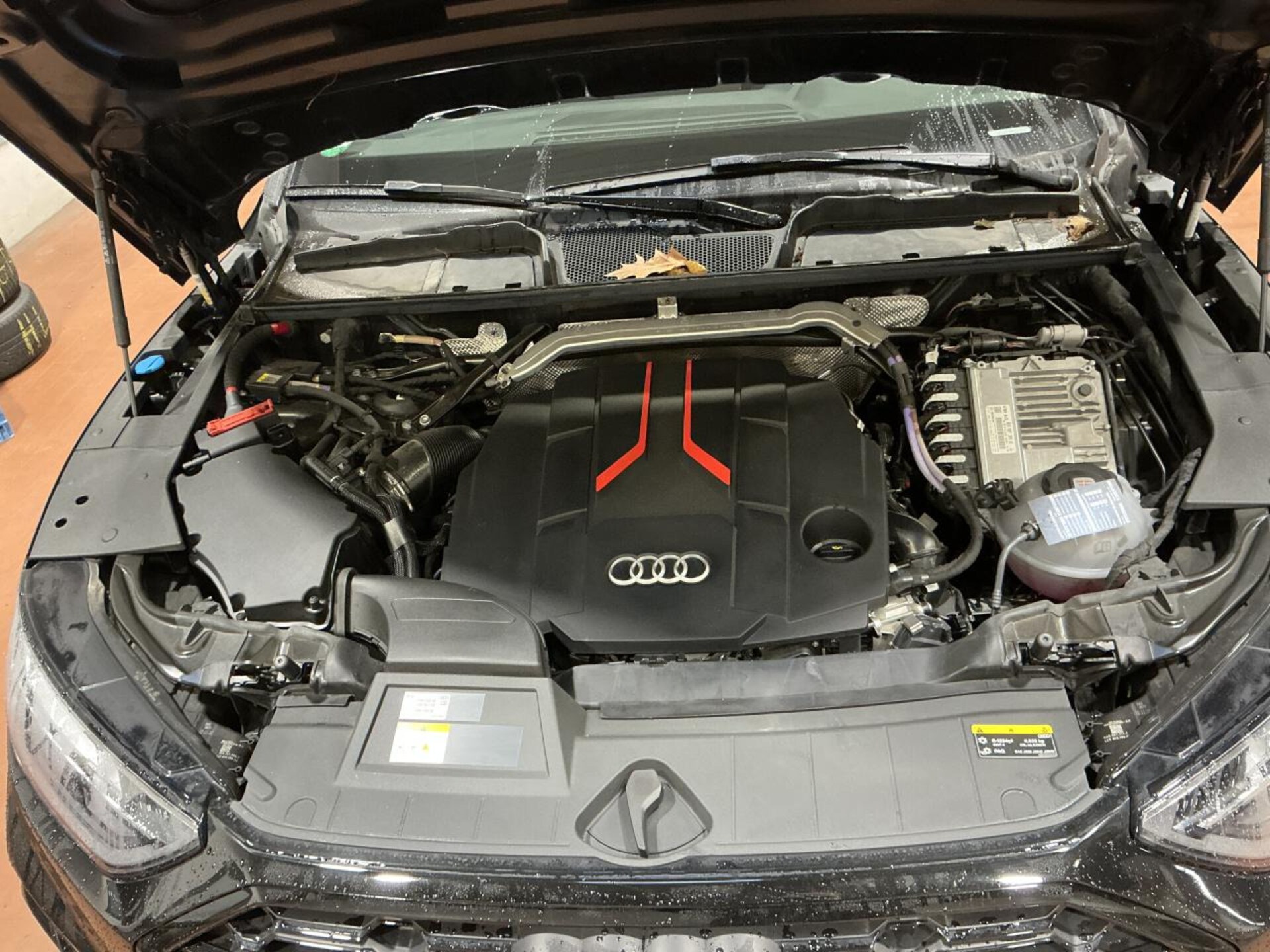 Audi SQ5 SUV