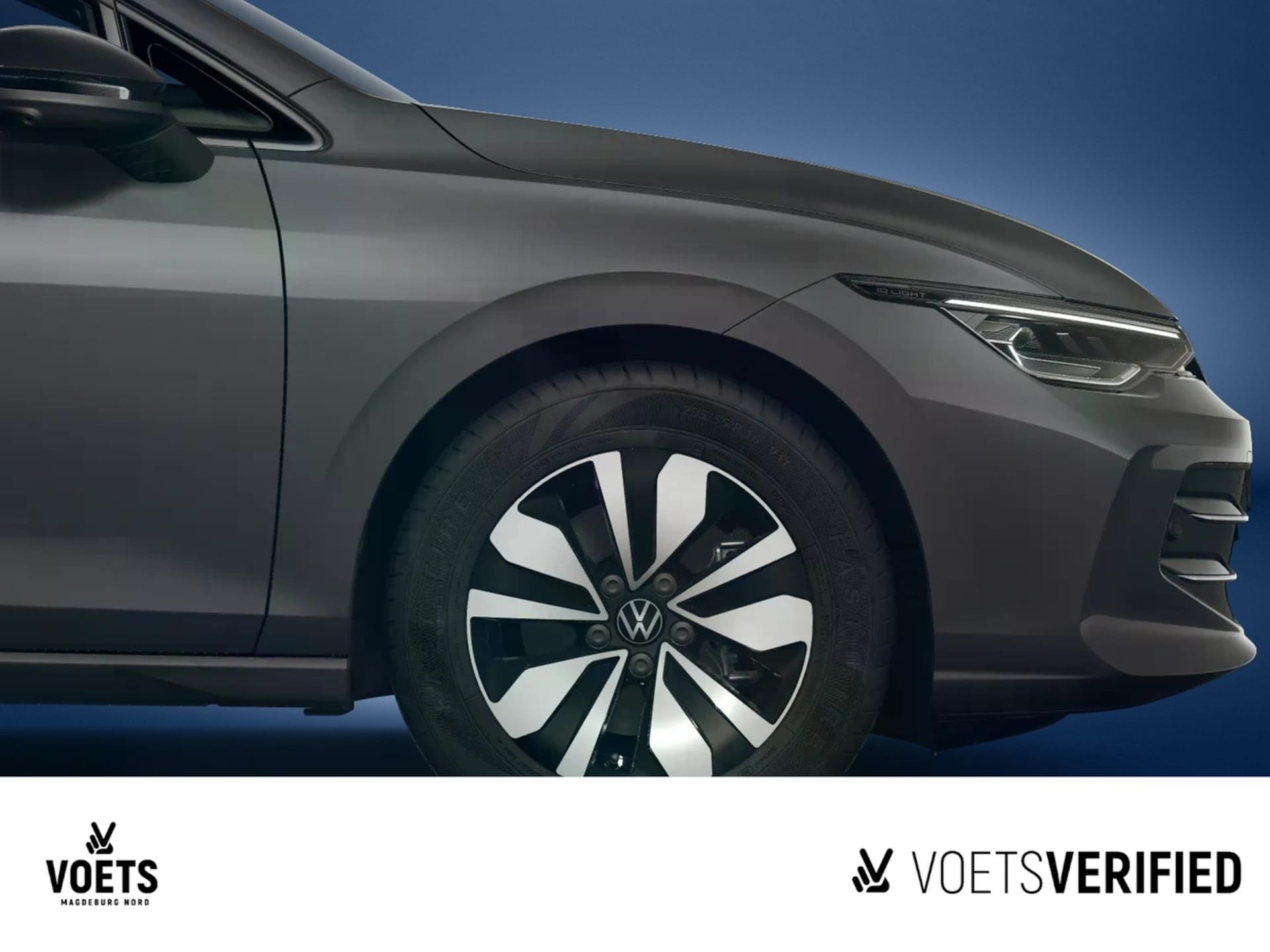 Volkswagen Golf Variant Goal