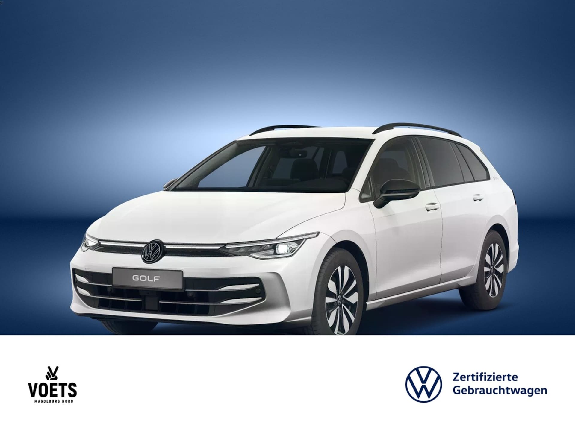 Volkswagen Golf Variant Goal