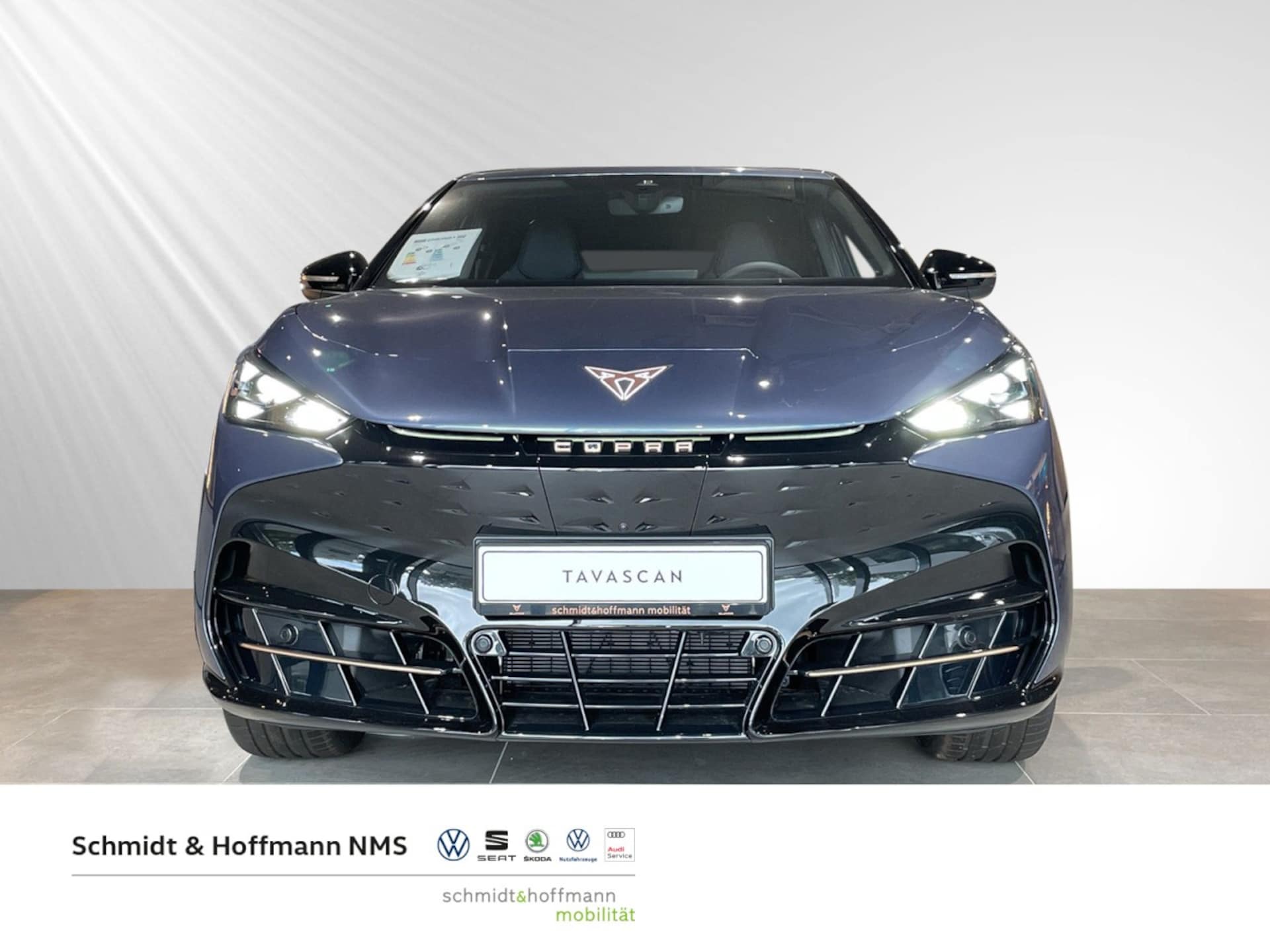 CUPRA Tavascan Endurance