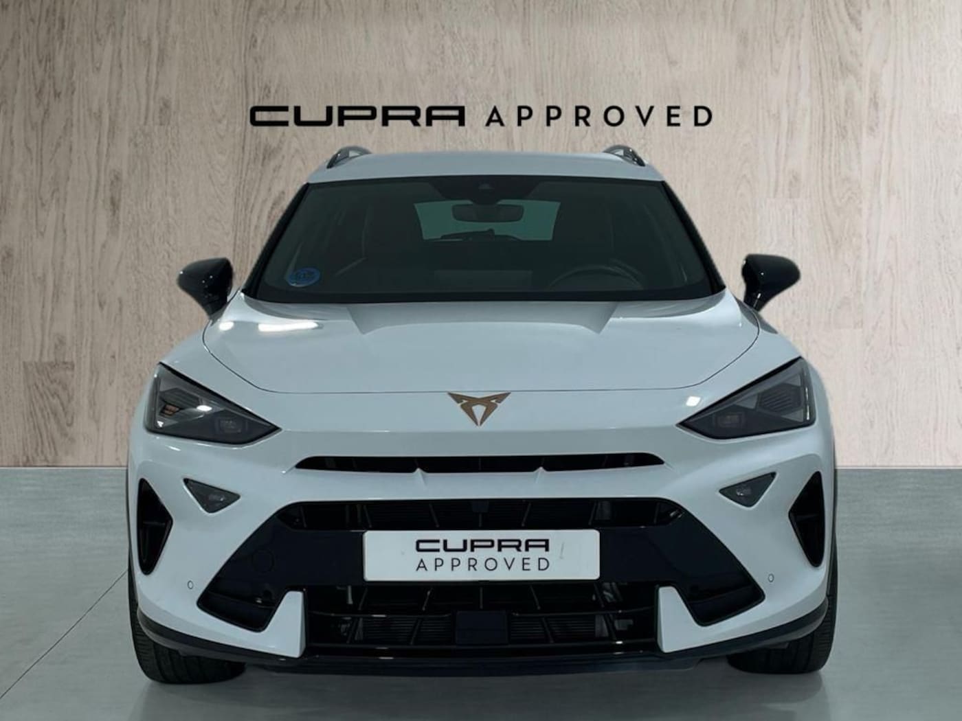 CUPRA Formentor 1.5 TSI e-Hybrid DSG 150 kW (204 CV) — photo 12