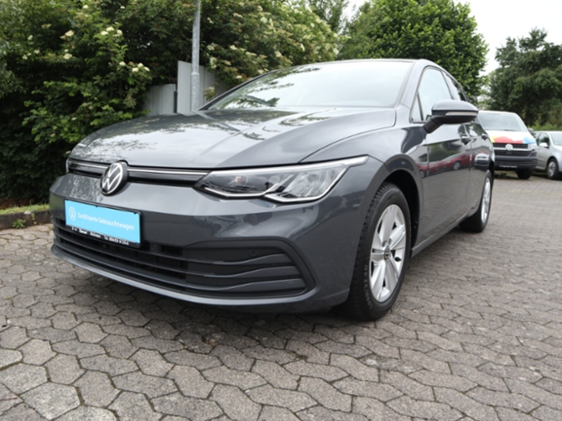 Volkswagen Golf Basis-Modell