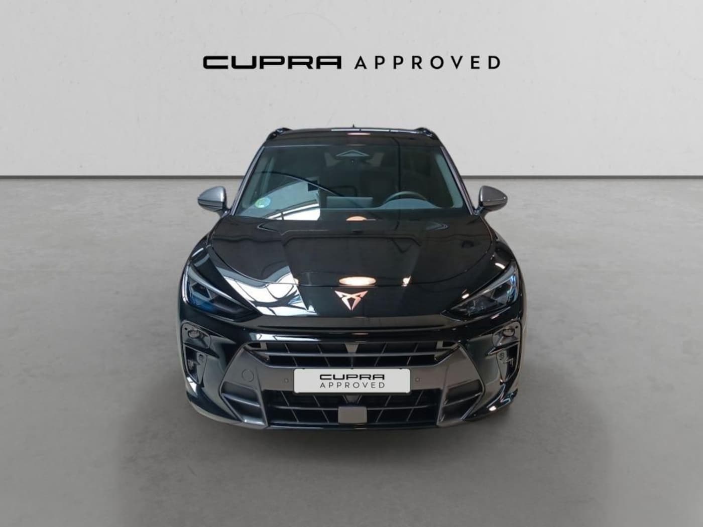 CUPRA Terramar 1.5 eTSI DSG 110 kW (150 CV) — photo 12