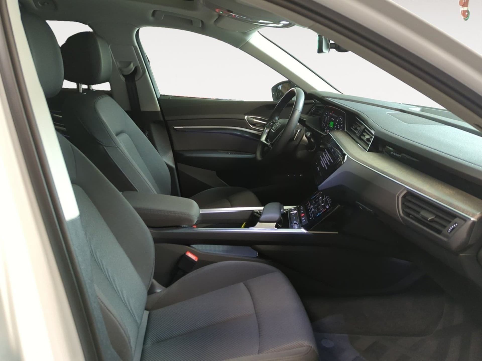 Audi Q8 e-tron Advanced