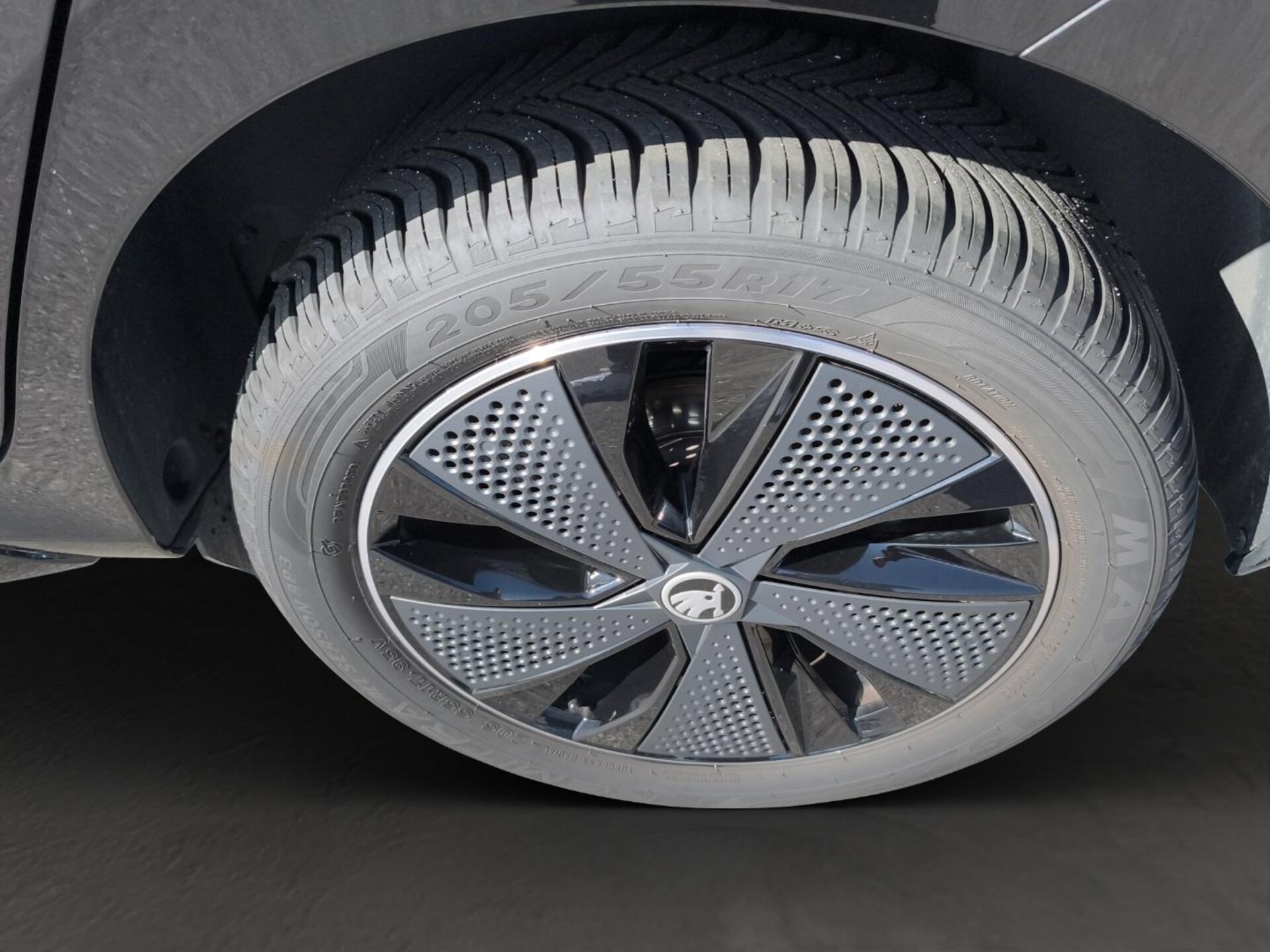 Skoda Kamiq Monte Carlo