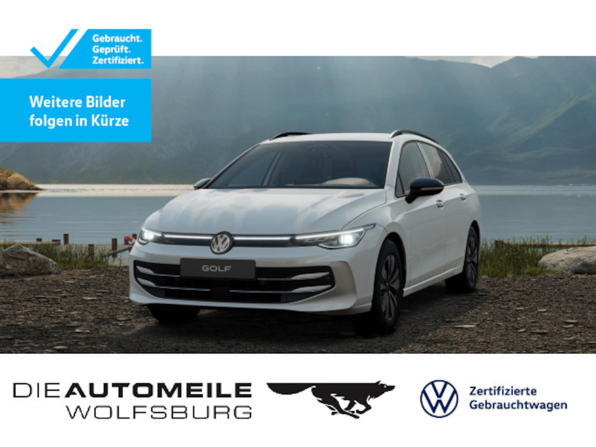 Volkswagen Golf Variant Goal