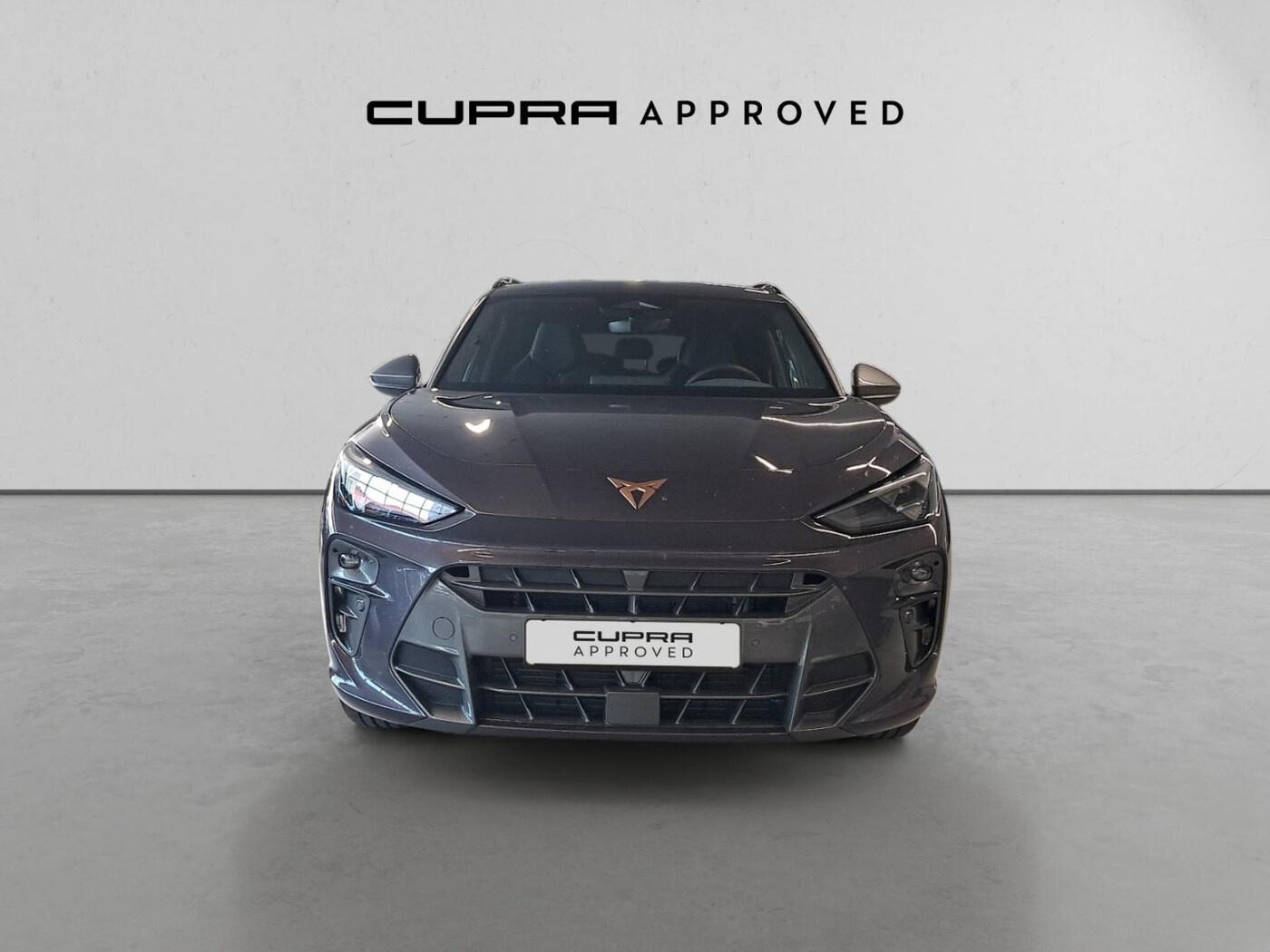 CUPRA Terramar 1.5 TSI e-Hybrid DSG 150 kW (204 CV) — photo 12