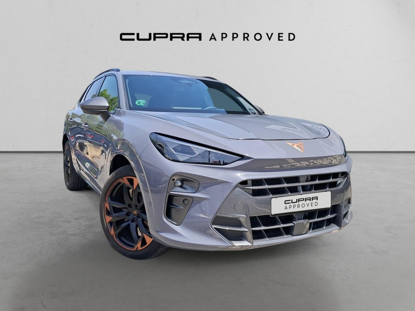 CUPRA Terramar 2.0 TSI VZ 4 Drive DSG 195 kW (265 CV) — photo 1