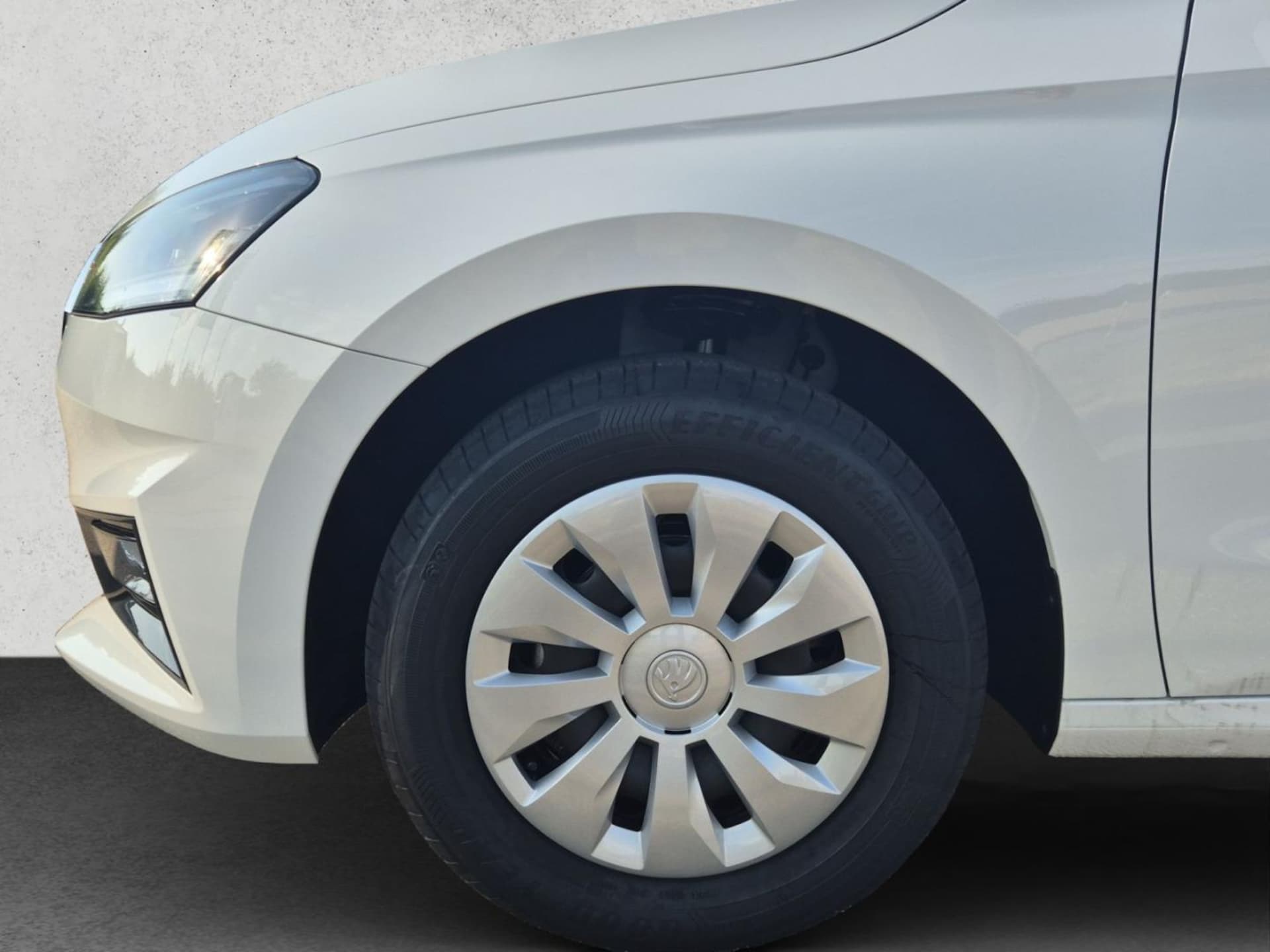 Skoda Fabia Selection