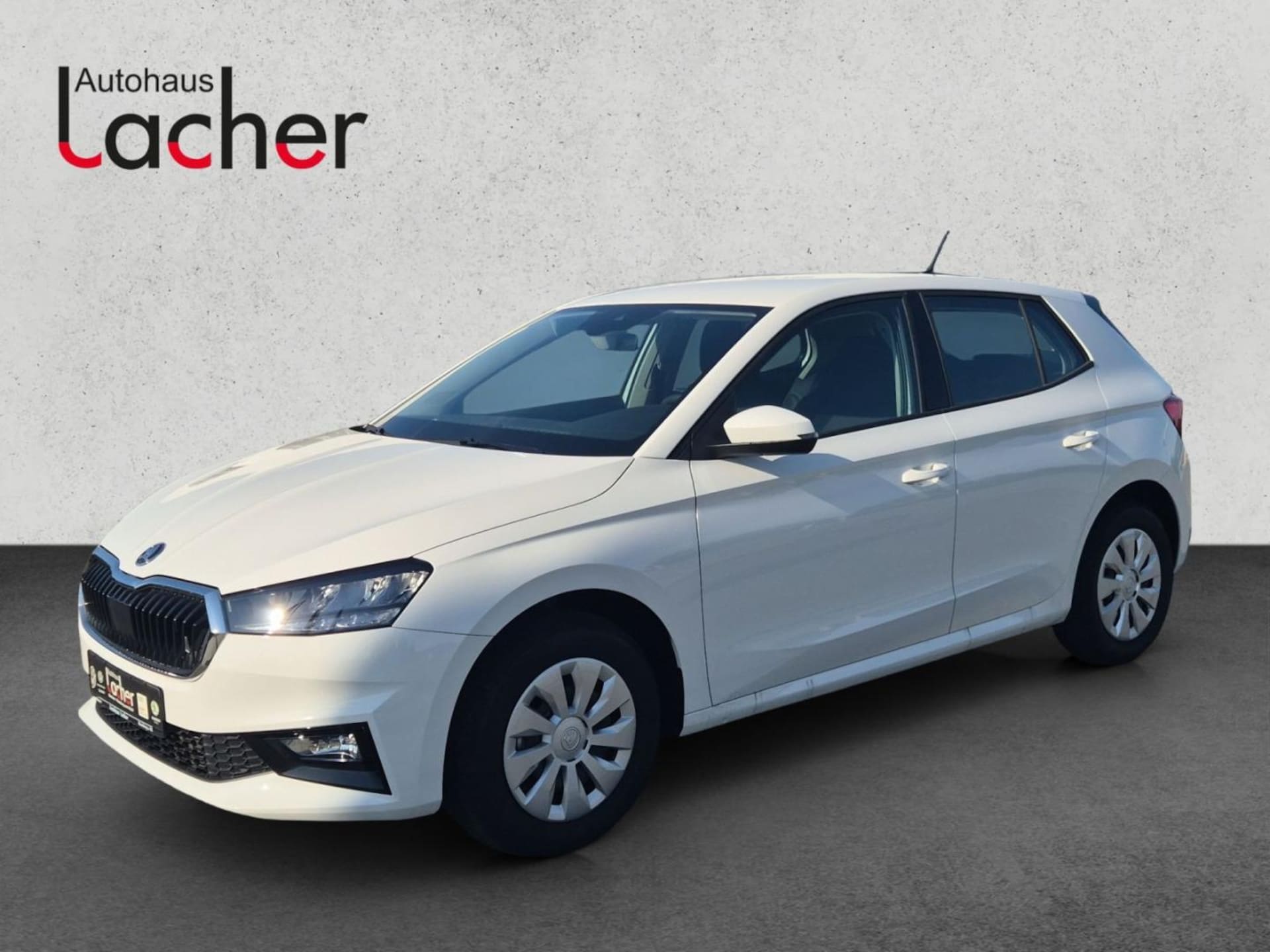 Skoda Fabia Selection