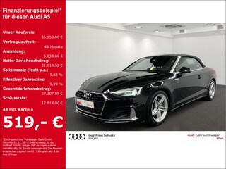 erstes Vorschaubild