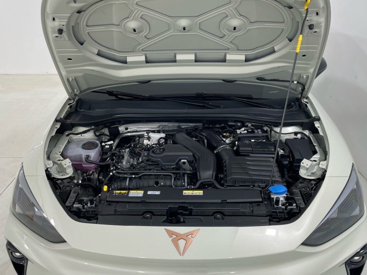 CUPRA Leon León 1.5 eTSI DSG 110 kW (150 CV) — photo 14