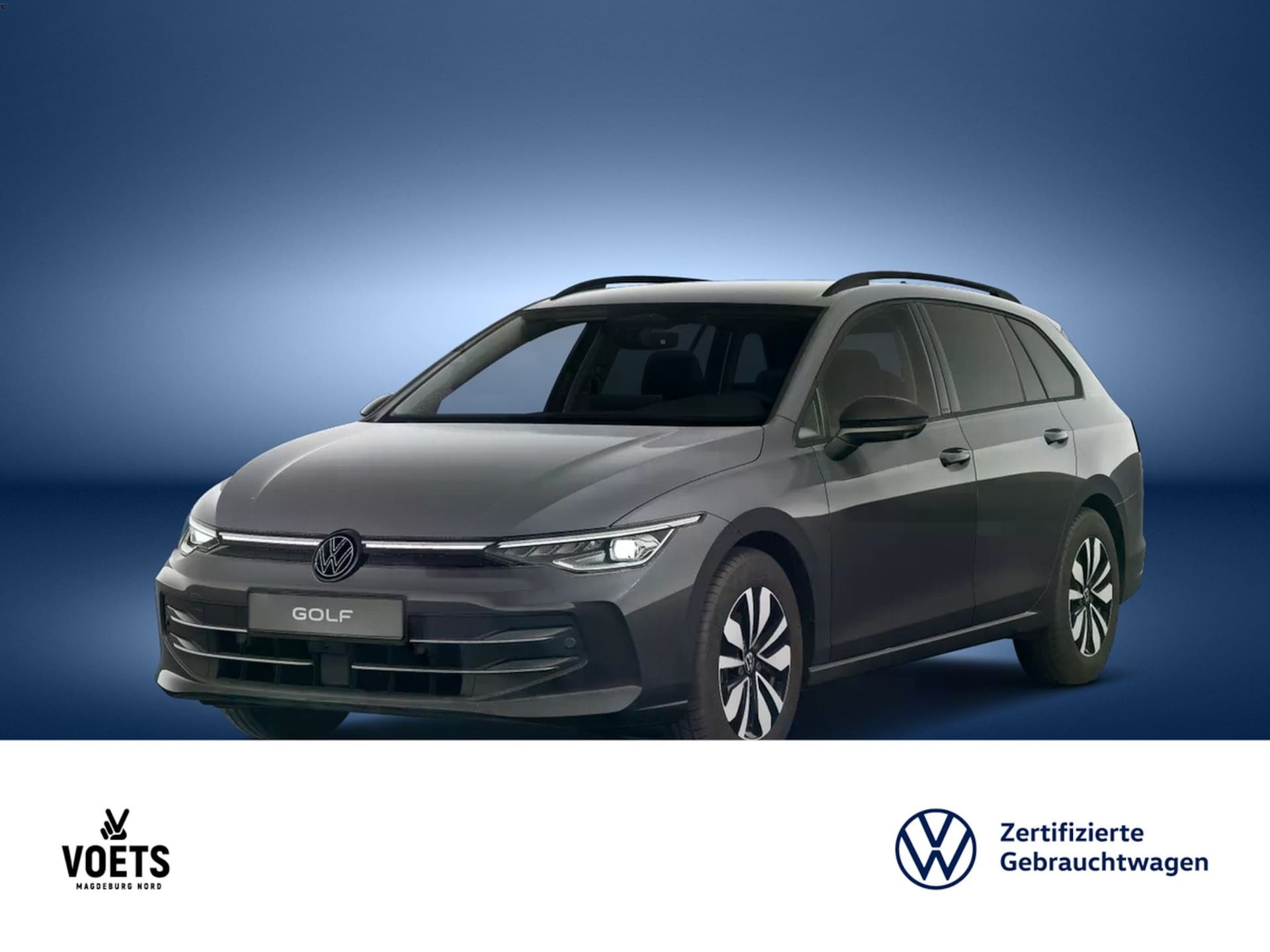Volkswagen Golf Variant Goal