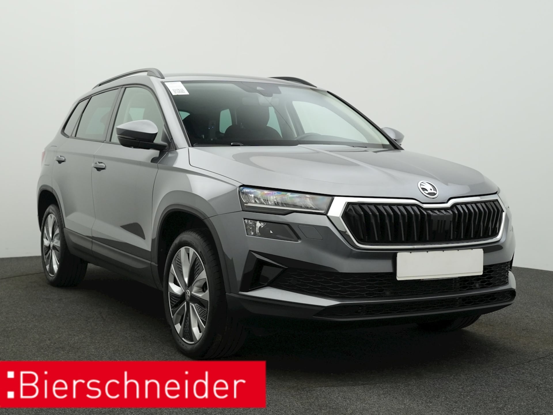 Skoda Karoq Selection