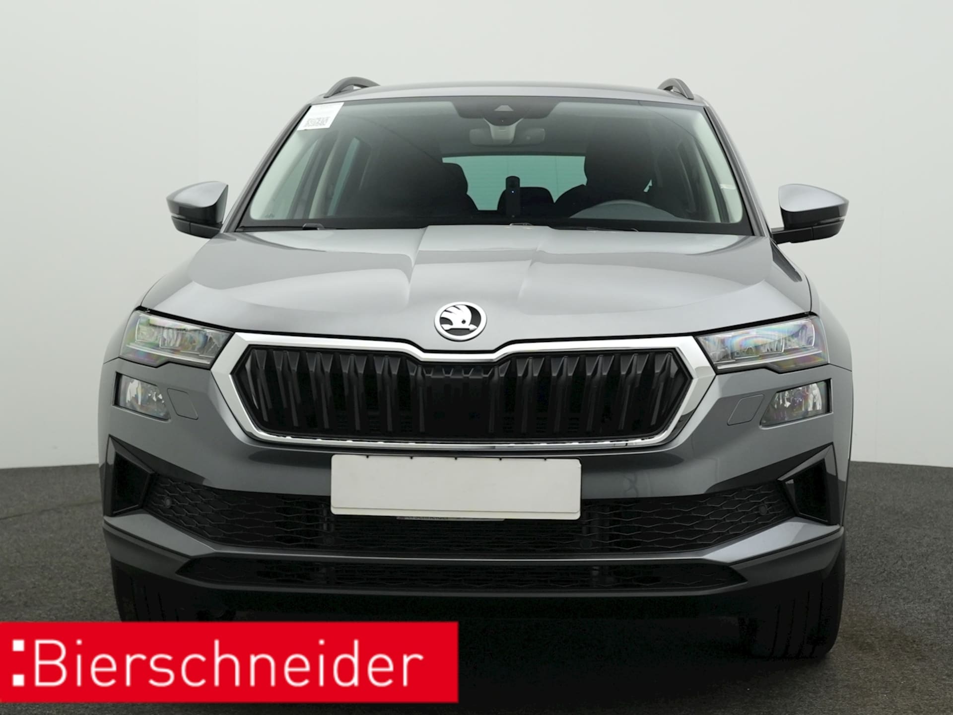 Skoda Karoq Selection