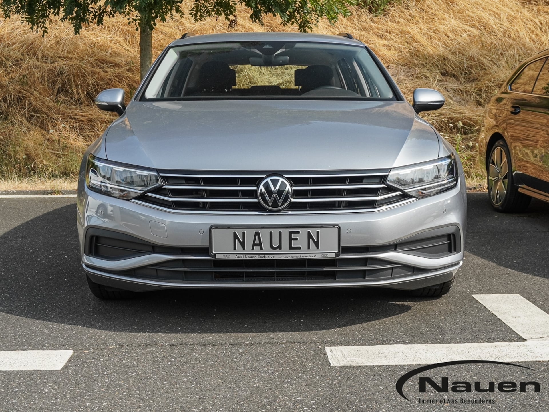 Volkswagen Passat Variant Conceptline