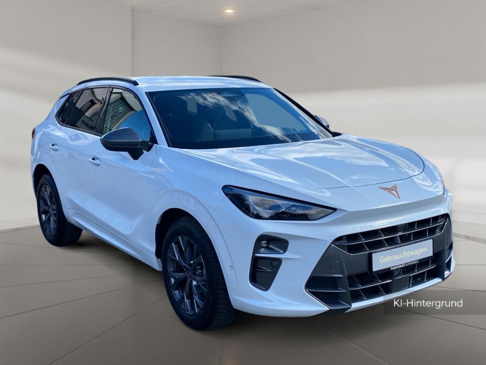 CUPRA Terramar – Bild 6