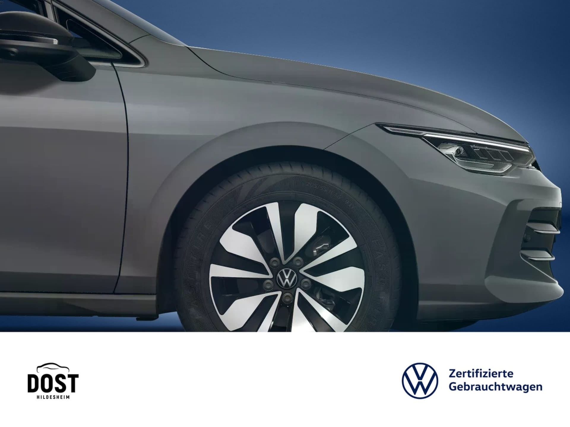 Volkswagen Golf Variant Goal