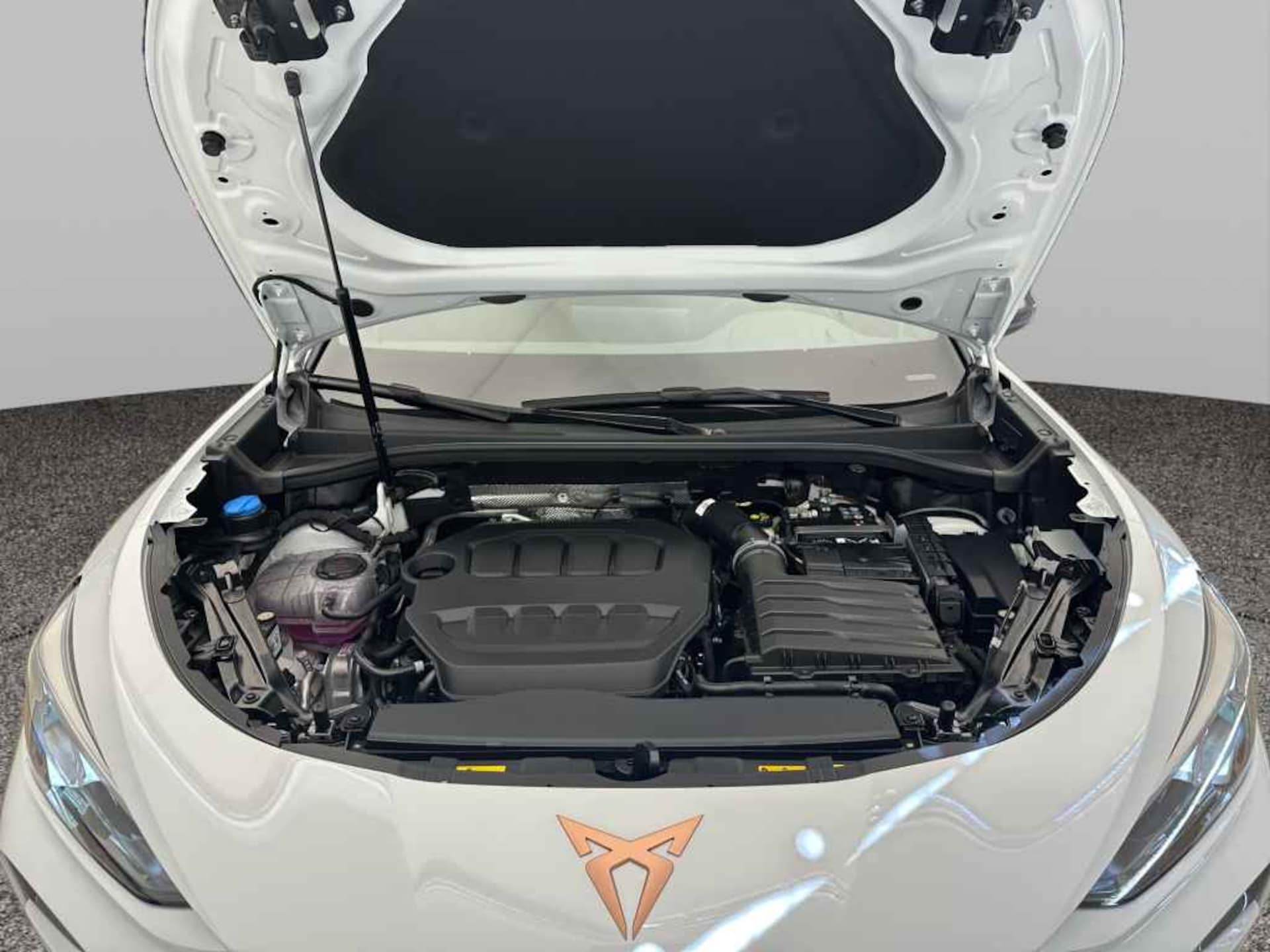CUPRA Terramar VZ
