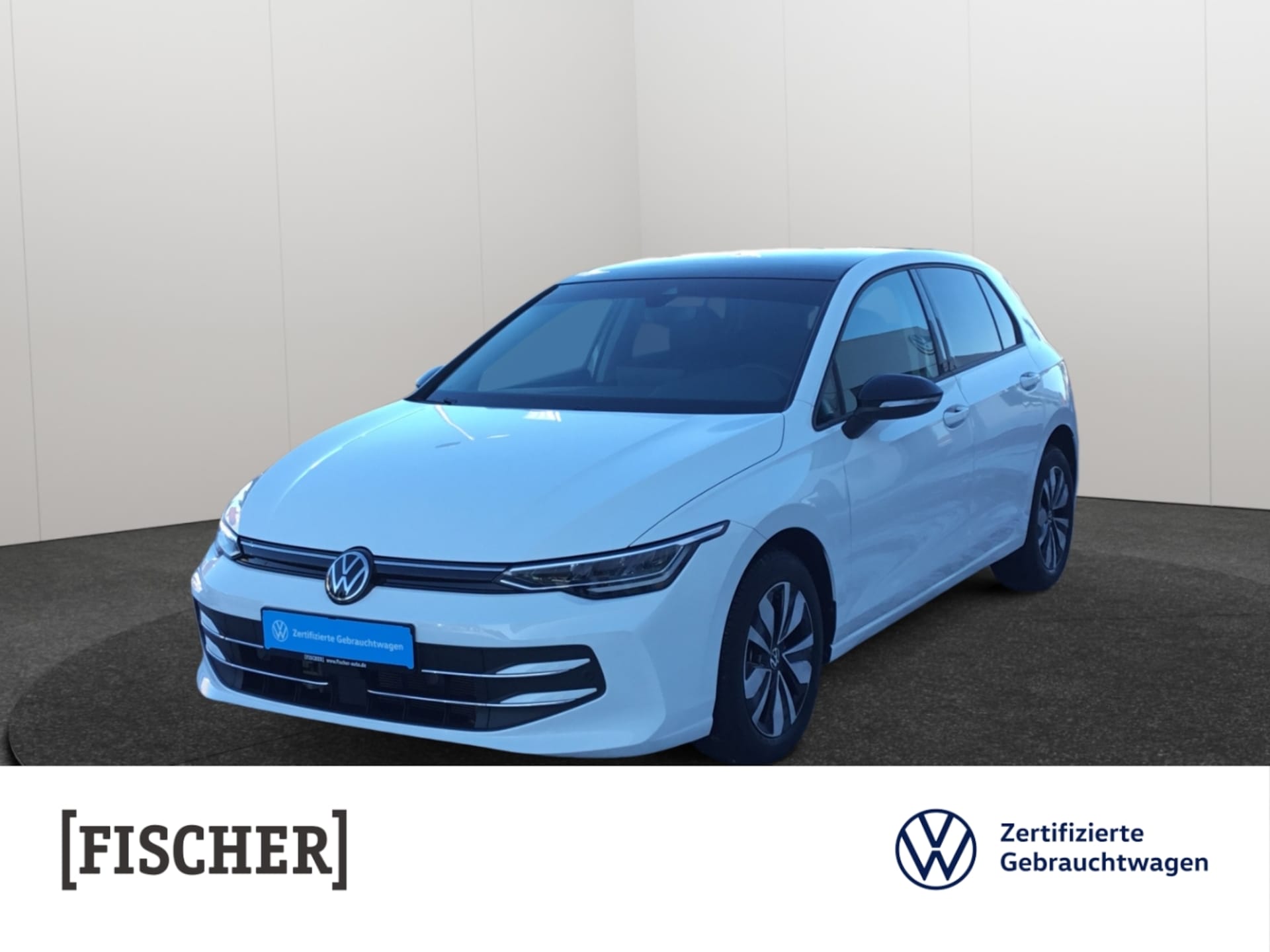 Volkswagen Golf Goal