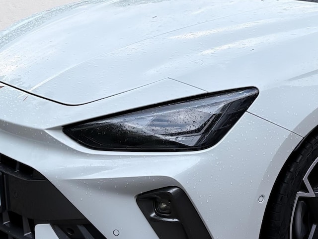 Bild des Autos 13