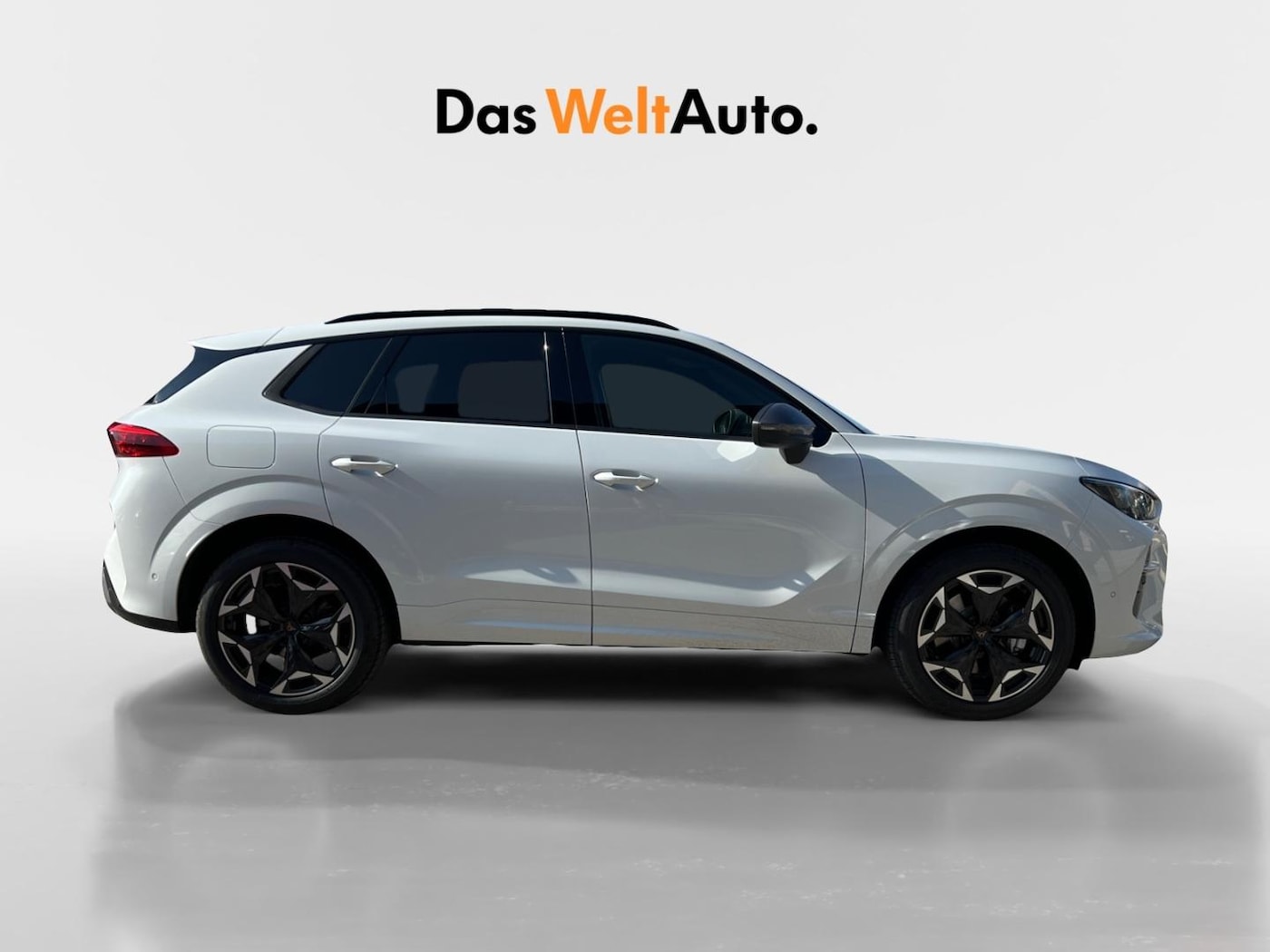 CUPRA Terramar 1.5 eTSI DSG 110 kW (150 CV) — photo 3
