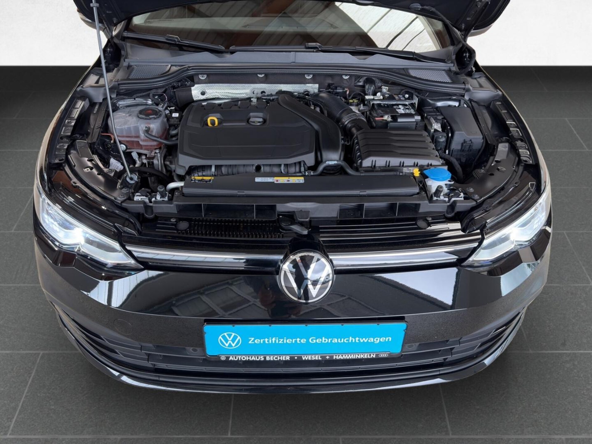 Volkswagen Golf Variant Life