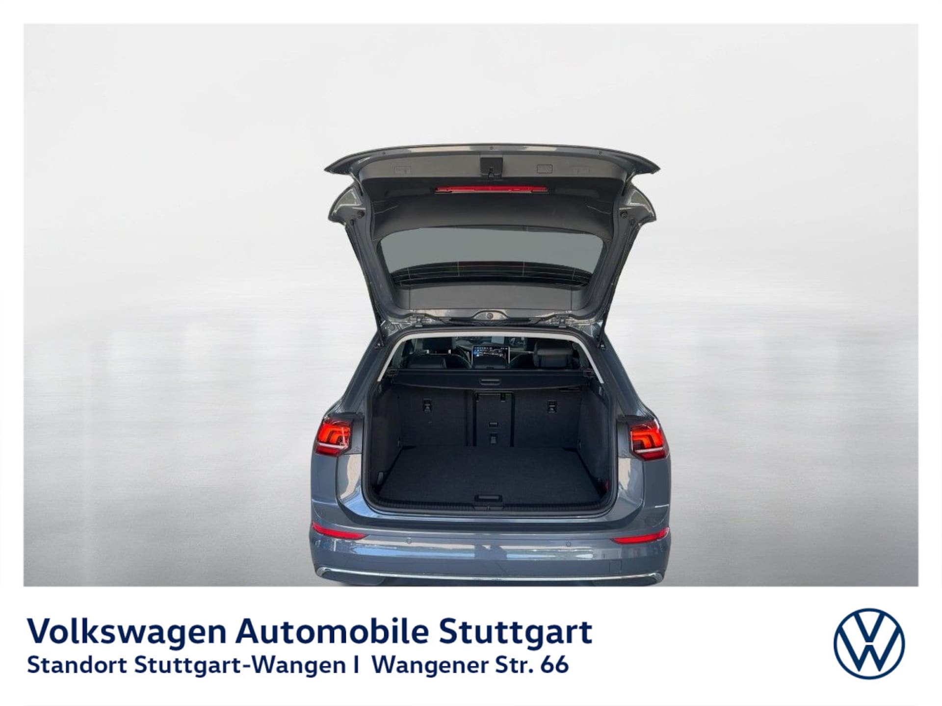 Volkswagen Golf Variant Style